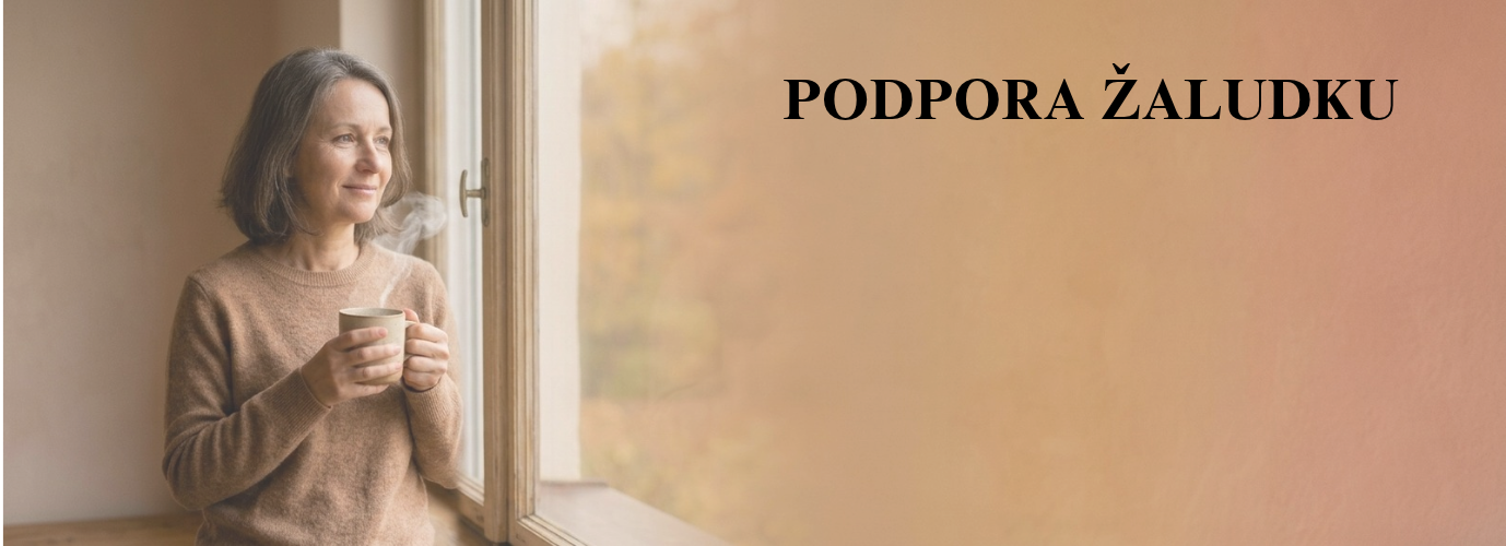 Podpora žaludku